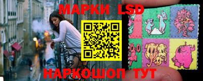 стаф Гудермес