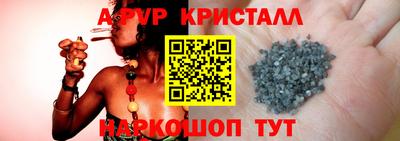 стаф Гудермес