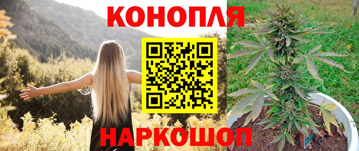 Бошки марихуана THC 21% Баксан